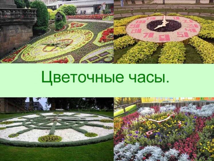 Цветочные часы — советы дизайнеров, методы использования и оригинальные идеи цветочных часов (65 фото+видео) CZvetochnye-chasy-43