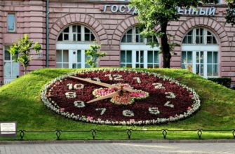 Цветочные часы — советы дизайнеров, методы использования и оригинальные идеи цветочных часов (65 фото+видео) ЦВЕТОЧНЫЕ ЧАСЫ — СОВЕТЫ ДИЗАЙНЕРОВ, МЕТОДЫ ИСПОЛЬЗОВАНИЯ И ОРИГИНАЛЬНЫЕ ИДЕИ ЦВЕТОЧНЫХ ЧАСОВ (65 ФОТО+видео)