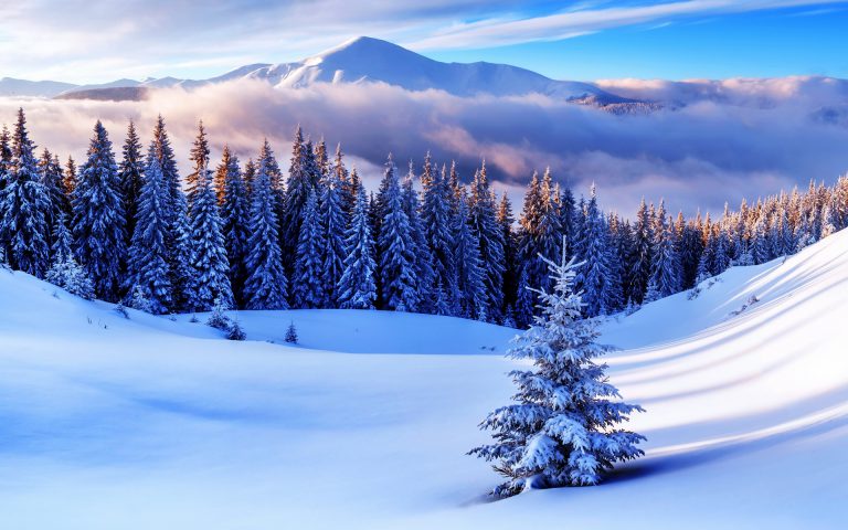 volshebnye zimnie kartinki1476433672 02 768x480 1 - Волшебные картинки про зиму поднимут настроение