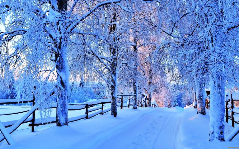 volshebnye zimnie kartinki1476433715 15 768x480 1 - Волшебные картинки про зиму поднимут настроение